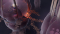 Added by Machina, 01st August 2023