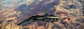 Added by hellobion2, 04th February 2024