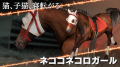 Added by hellobion2, 06th February 2024