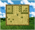 Image01