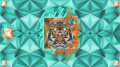 Added by hellobion2, 21st February 2024