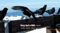 Added by Masked_Muchaco, 28th August 2018
