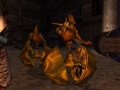 Image01