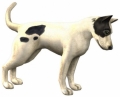 Image01