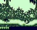Image01