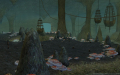 Added by hellobion2, 09th February 2024