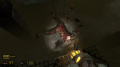 Added by hellobion2, 05th February 2024