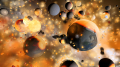 Added by hellobion2, 17th February 2024