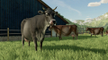 Added by hellobion2, 18th February 2024