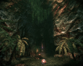 Added by hellobion2, 25th February 2024