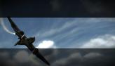 Added by spurgeonryan, 14th November 2011