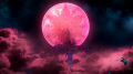 Added by Machina, 07th February 2021