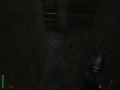 Added by hellobion2, 08th February 2024
