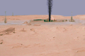Added by hellobion2, 09th February 2024