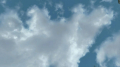 Added by hellobion2, 03rd February 2024