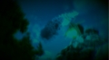 Added by Marth, 08th August 2018