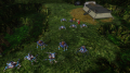 Added by hellobion2, 10th May 2024