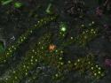 Added by CaptainHavok, 22nd October 2011
